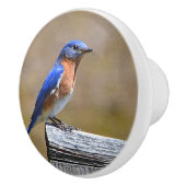 Bouton en céramique d'oiseau bleu (Droite)