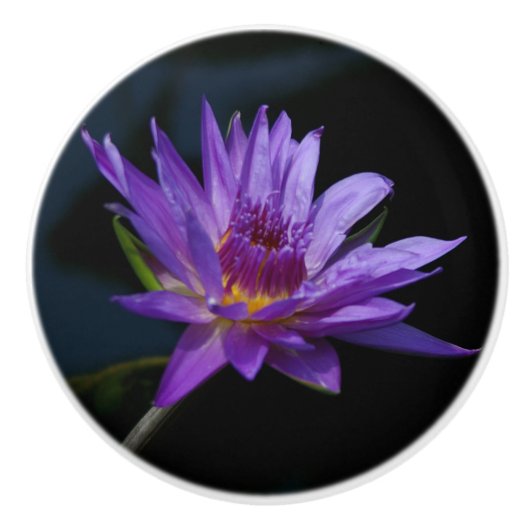 Bouton en céramique nénuphar (Devant)