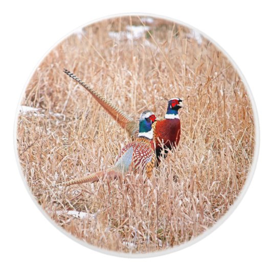 Bouton en céramique personnalisée Pheasant à cou c (Devant)