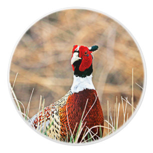 Bouton en céramique personnalisée Pheasant à cou c