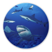 Bouton en céramique requins (Devant)