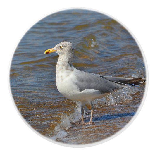 Bouton en céramique Seagull (Devant)