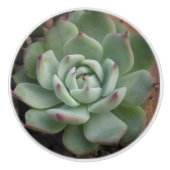 Bouton en céramique Succulent (Devant)