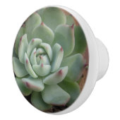 Bouton en céramique Succulent (Droite)