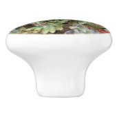 Bouton en céramique sur mesure Succulent (Côté)