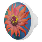 Bouton en céramique Zinnia (Droite)