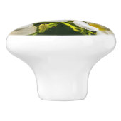 Bouton exotique de Plumeria d'île (Côté)