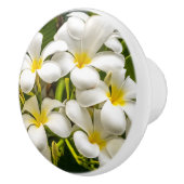 Bouton exotique de Plumeria d'île (Droite)