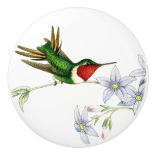 Bouton floral animal de faune d'oiseau de colibri