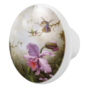 Bouton floral d'animaux d'oiseaux de colibri de