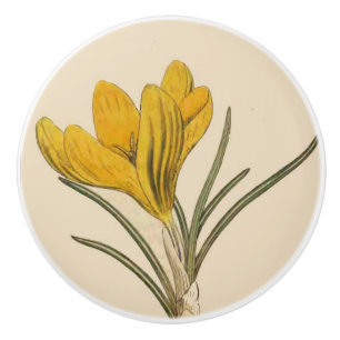 Bouton floral de jardin d'art botanique vintage de