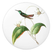 Bouton floral de jardin de fleur d'oiseau de (Devant)