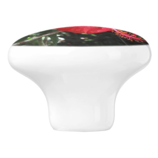 Bouton rouge Hibiscus Drawer (Côté)