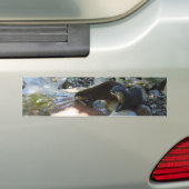 Boutons à boire, Sticker pare-chocs (En voiture)