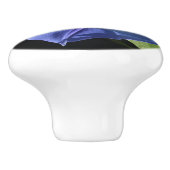 Boutons bleus merveilleux de cuisine de gloire de (Côté)