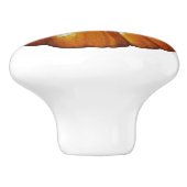 Boutons citrouilles (Côté)