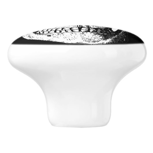 Boutons de coffret/meubles de crâne (Côté)