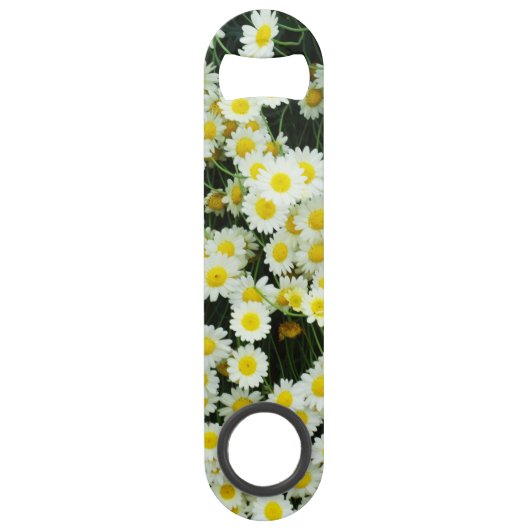 Boutons de fleurs de marguerite délicate jaune, (Devant)