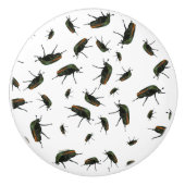 Boutons de insectes (Devant)