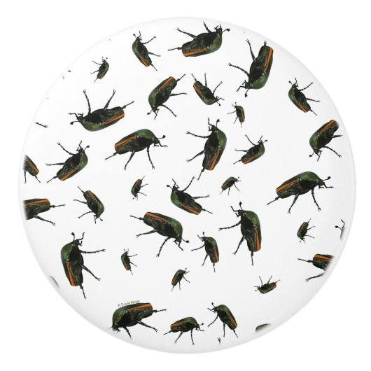 Boutons de insectes (Devant)