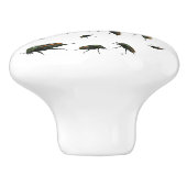 Boutons de insectes (Côté)