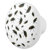 Boutons de insectes (Droite)