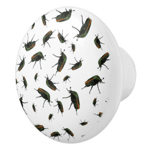 Boutons de insectes