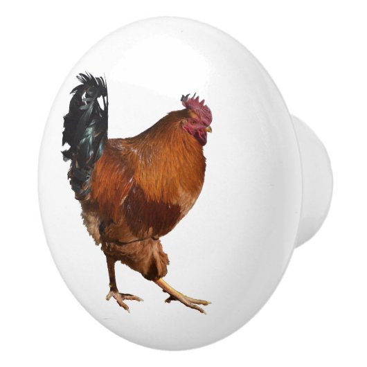 Boutons de porte de coq (Droite)