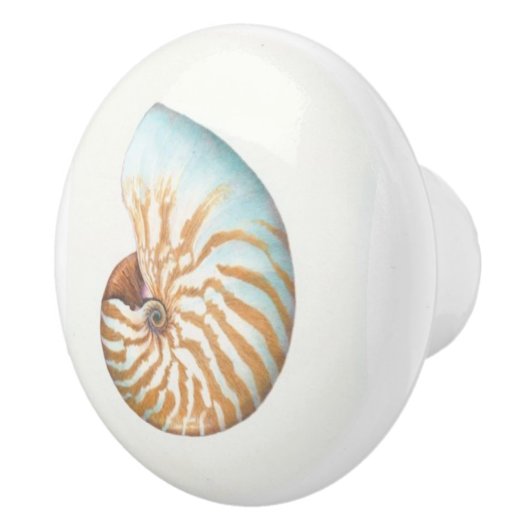 Boutons de porte : Nautilus (Droite)