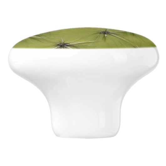 Boutons de pouce en cactus vert et tiroirs (Côté)