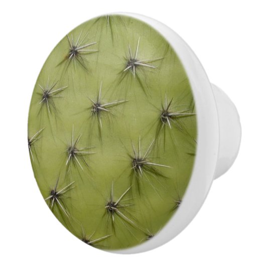 Boutons de pouce en cactus vert et tiroirs (Droite)