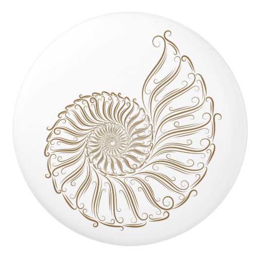 Boutons de tiroirs en coquille de mer de plage - S (Devant)