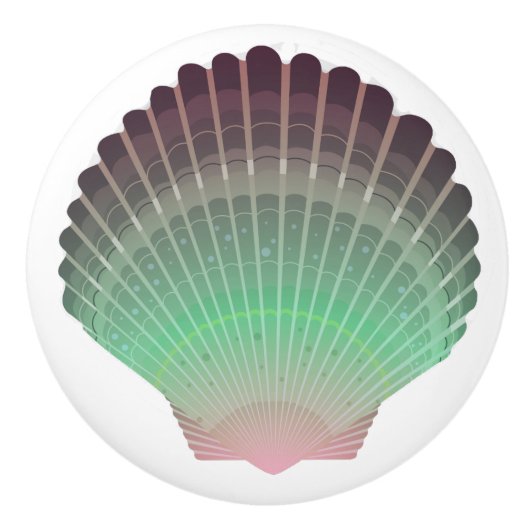 Boutons de tiroirs en coquille de mer de plage - S (Devant)