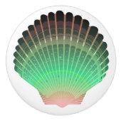 Boutons de tiroirs en coquille de mer de plage - S (Devant)