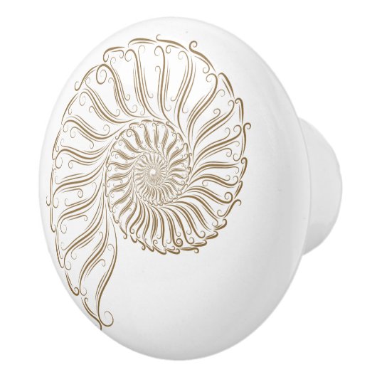 Boutons de tiroirs en coquille de plage (Droite)