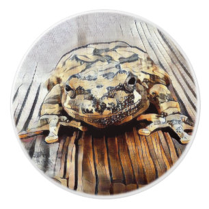 Boutons en céramique décoratifs artistiques de