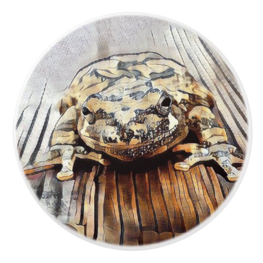 Boutons en céramique décoratifs artistiques de (Devant)