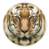 Boutons en céramique Tiger Close Up (Devant)