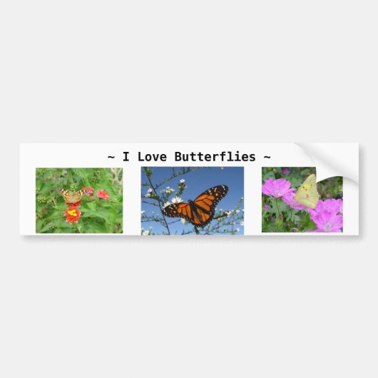 Boutons et fleurs Bumper Sticker (Devant)