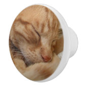 Boutons oranges de raboteuse de chat de gingembre (Droite)