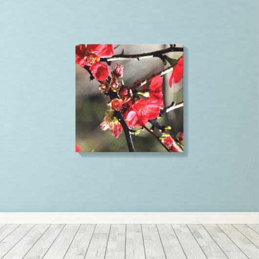 Boutons rouges toile florale Impression (Insitu (Plancher de Bois))