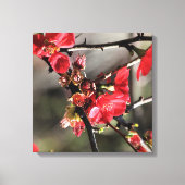 Boutons rouges toile florale Impression (Recto)