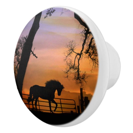 Boutons Whimsical Horse (Droite)