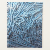 Bouts : Bleu (Devant)