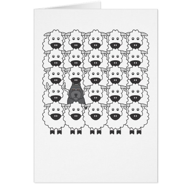 Bouvier chez les moutons (Devant)