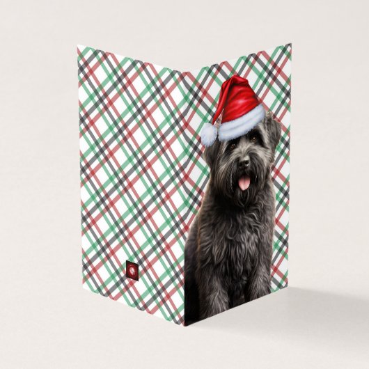 Bouvier Christmas Chien avec Holiday Plaid (Outside)