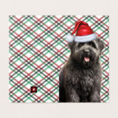 Bouvier Christmas Chien avec Holiday Plaid (Outside Unfolded)