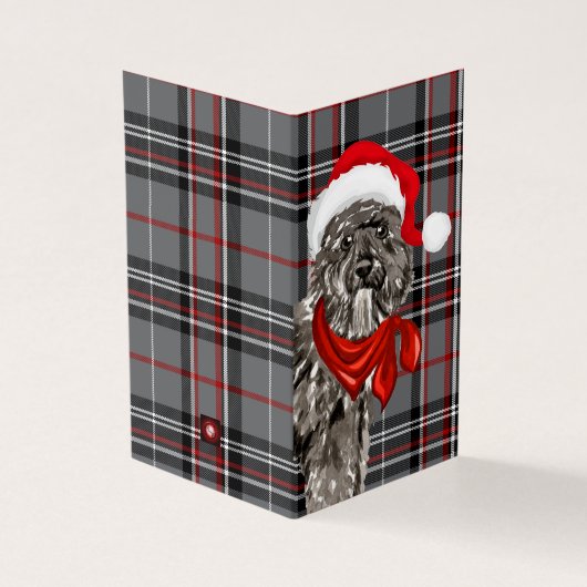 Bouvier Christmas Chien avec Holiday Plaid (Outside)