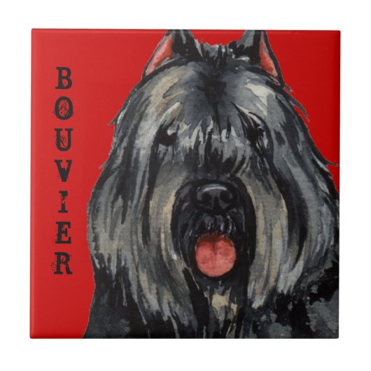 Bouvier Color Block Tegeltje (Voorkant)
