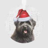 Bouvier des Flandres Chien de vacances Noël (dos)